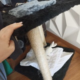 Izabel Mendes da Silva