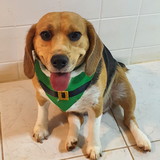 JUSNEI DE ALMEIDA SILVA