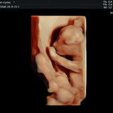 Tauani Fernanda Rosa Benedicto