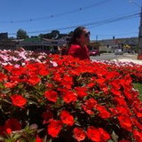 Leonice Leite Dos Reis