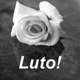 Marcela Pinheiro Belo Vidal