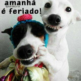 RENATA MEIRA PICHELLI