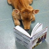 Vinícius da Silva neves