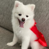 Lídia Anacleto da Silva