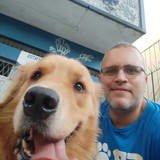 FABRICIO ARMADA SENORANS