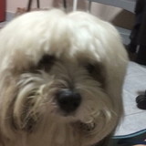 Aparecido Antonio da Silva