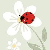 Roseli Piva Oliveira