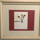 Lais Helena Fares Ferreira