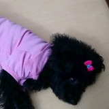 Adriana Lima Rocha Gomes