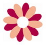 Estela Seixas Seabra