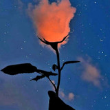 Esther de Oliveira Morais