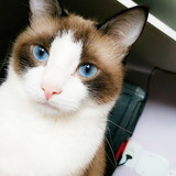 Michele da Silva Antonio