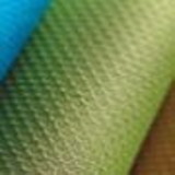 Karina Trevisan Fernandes Ferraz