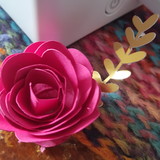 Fernanda Valéria Máximo Silva