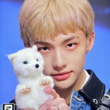 Brenda Victorine Carvalho dos santos