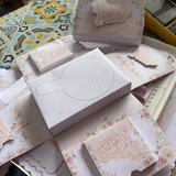 Ana Carla Costa dos Santos Lopes