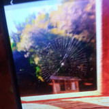 Cristina Maria Moraes