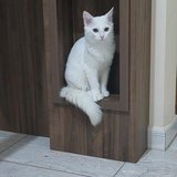 Isabelle Nunez Arceo