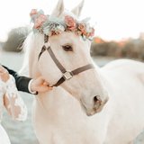 Eyshila Marcela Tomé Evangelista