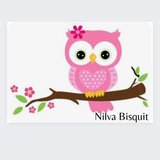 Nilva Biscuit e Cia.