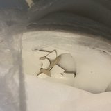 rosangela silva sales