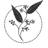 avatar da loja