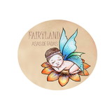 Auricelia de Lima Oliveira