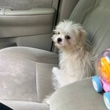 Kailla da conceição sousa