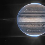 Penélope Dominicali