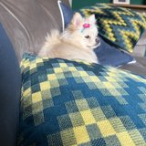 Rayra Luiza de Oliveira