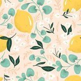 Agnes Ramos Silva Farias