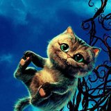 Rayane Monteiro da Silva