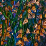 Maria Alice Alves da Cruz