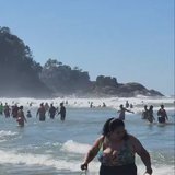 Suelen Priscila Vergílio