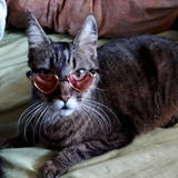 GISELE LEONARDO LANCHA DOS SANTOS