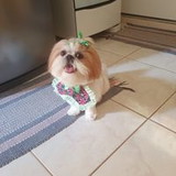 Maria  de Fatima da S Pires