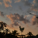 Ellen Yasmin Da Silva Ferreira