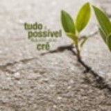 Jennifer Coronel Fedossi