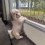 Keila Cristina Canalle Pereira