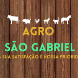 Eduardo Pressendo ramos lima