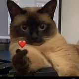 Maria J[ulia dos Santos da Silva