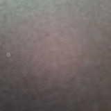 Maria Camila Pereira de Araújo