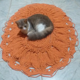 Roseli Aleixo de Carvalho