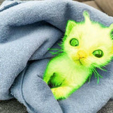 Camila Vitória Borges Batista