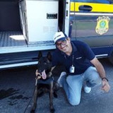 Rogerio Paz de Souza