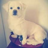 ELISANGELA DE SOUZA CIDRÃO