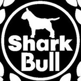 Sharkbull C Anil
