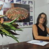 Thaís dos Santos Guimarães