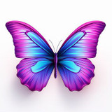 Algeane Aragão Batista