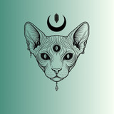 Franciele Novais Paiva